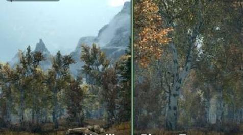 上古卷轴5：天际MOD 天际大树SBT SFO Patch 1.65