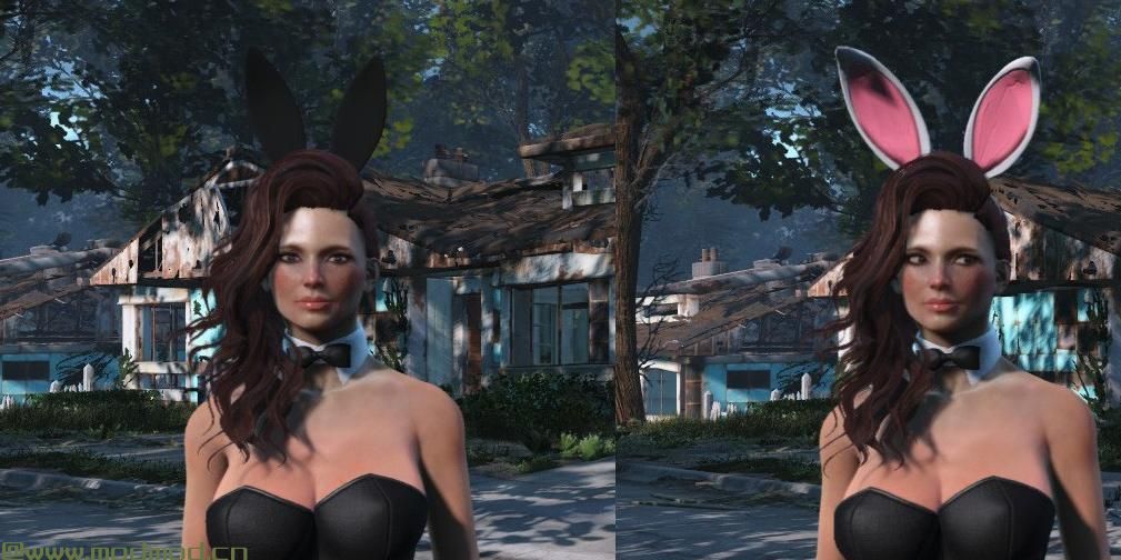 辐射4MOD Bunnygirl Outfit  -  CBBE  -  AWKCR