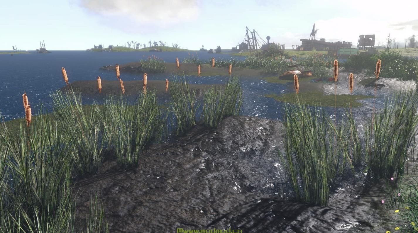 生动的水域 - 辐射水的大修4