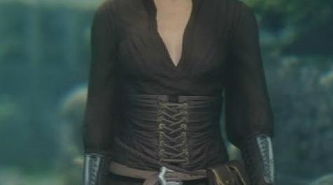 上古卷轴5：天际MOD 盗贼女法师黑套装 V1.0