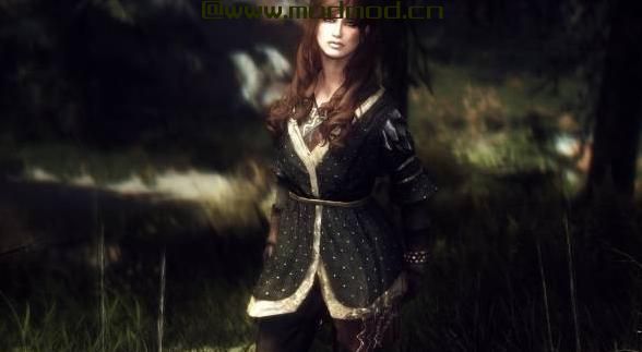 上古卷轴5：天际MOD 镀金上衣套装 V1.1