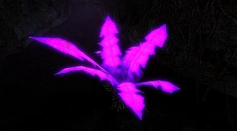 上古卷轴5：重置版MOD 审美的nirnroots