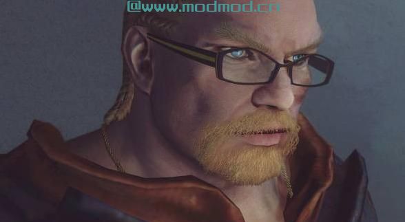 上古卷轴5：天际MOD 眼镜MOD，ImoMegane - Glasses
