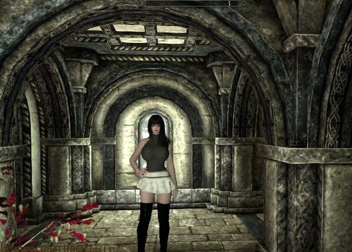 上古卷轴5：天际MOD 短裙毛衣 &mdash;&mdash; UNPB TBBP 个人修改版