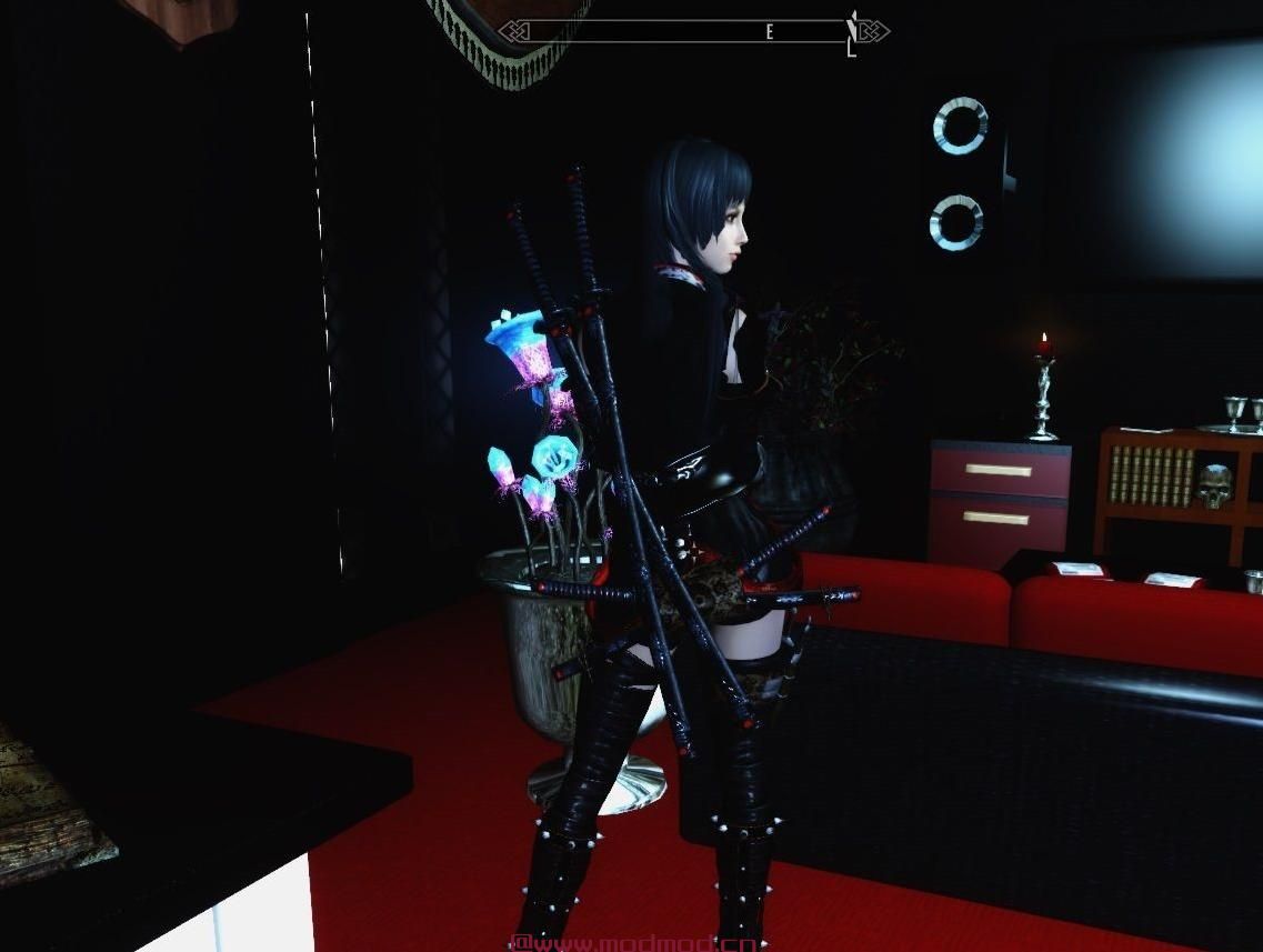 上古卷轴5：天际MOD 忍者服装女版（CBBE）