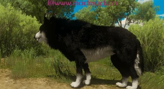 巫师3：狂猎MOD - Wolf Color -（狼的颜色）