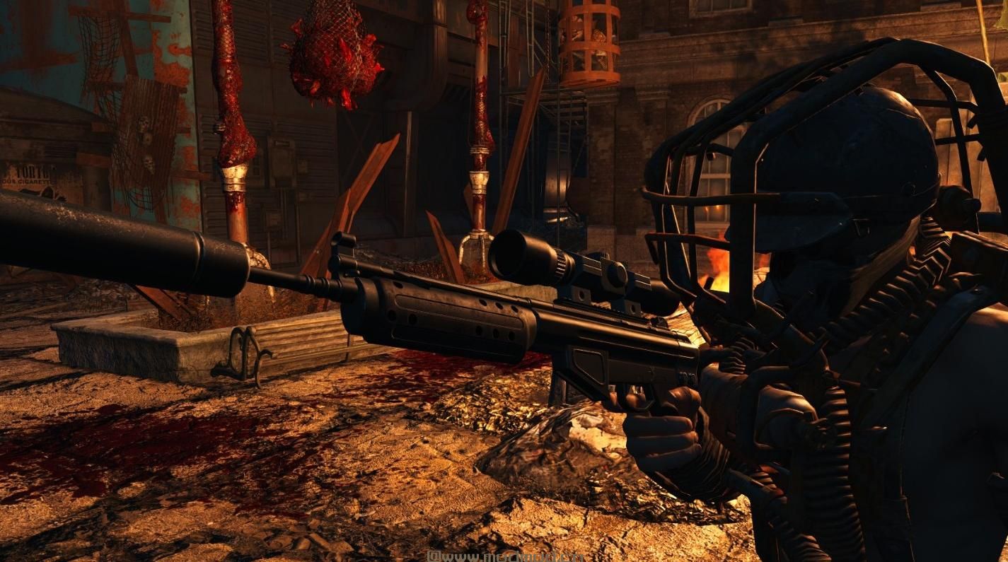 R91 - 辐射3突击步枪