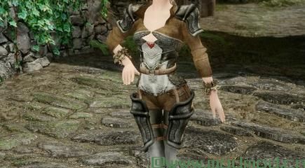 上古卷轴5：天际MOD 莱姆套装 V1.0