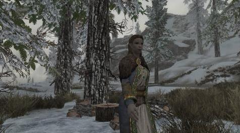 上古卷轴5：重置版MOD Windstad Manor Trader