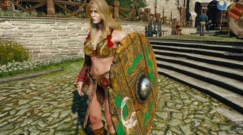 巫师3：狂猎MOD 新的鼓盾