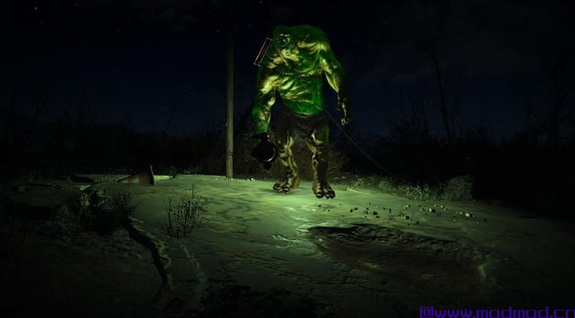 发光的动物发光