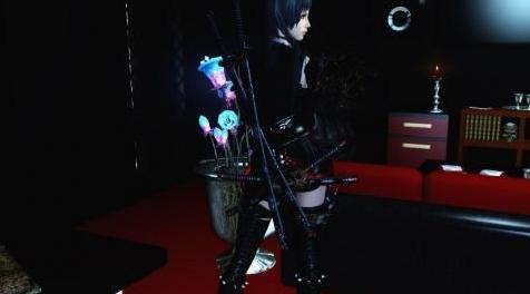 上古卷轴5：天际MOD 忍者服装女版（CBBE）