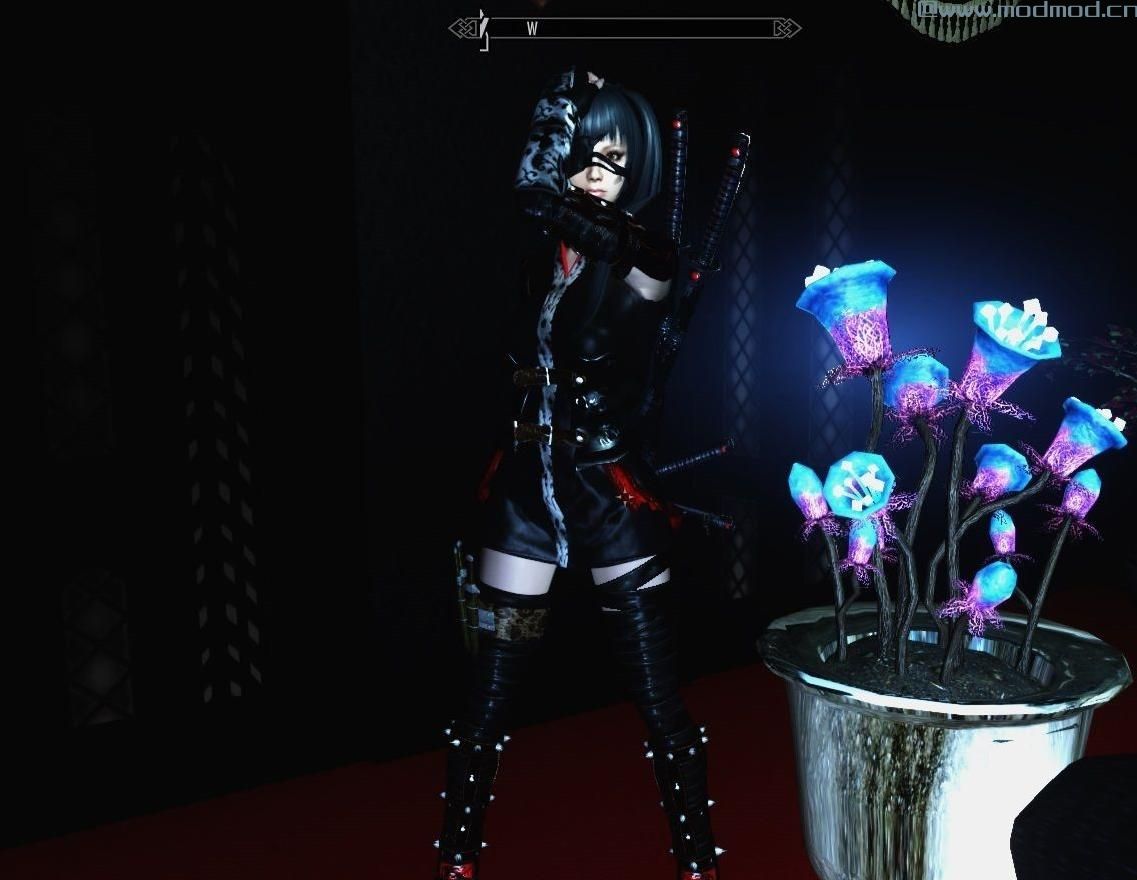 上古卷轴5：天际MOD 忍者服装女版（CBBE）
