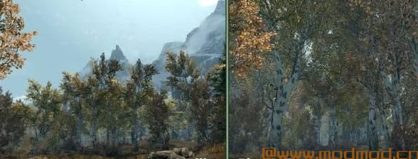 上古卷轴5：天际MOD 天际大树SBT SFO Patch 1.65