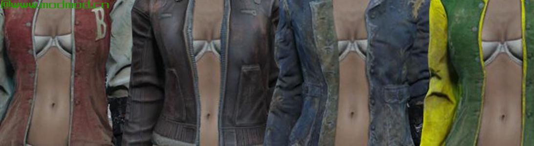 辐射4MOD 联邦的夹克和外套