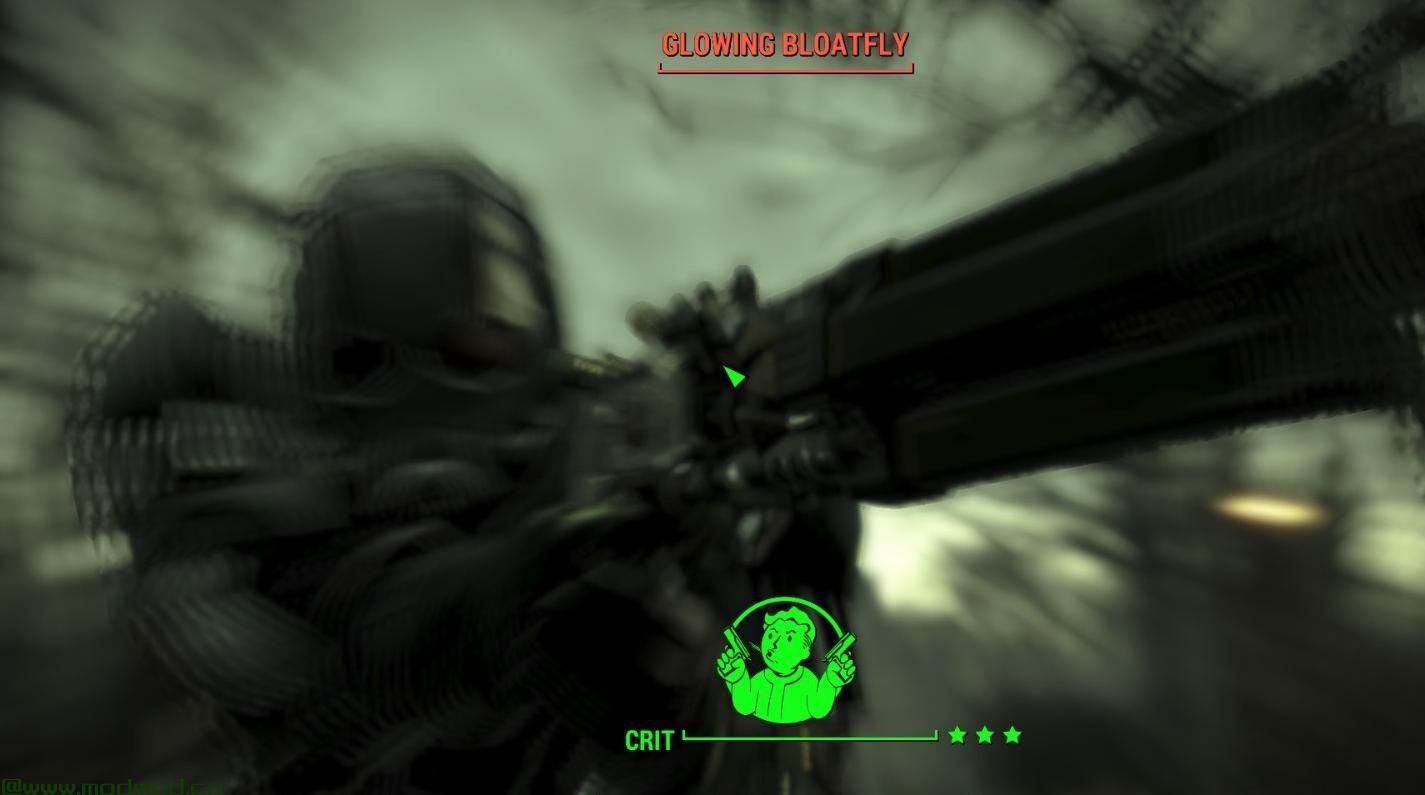 原子安妮 - 独特的枪