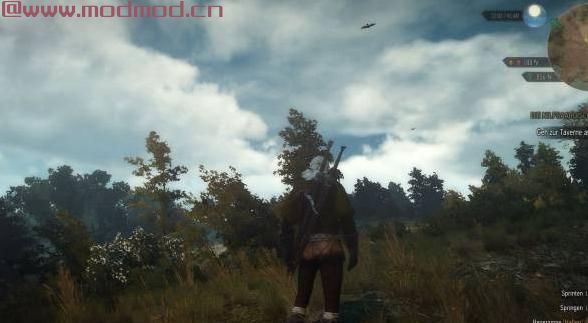 巫师3：狂猎MOD 现实增强了巫师ReShade