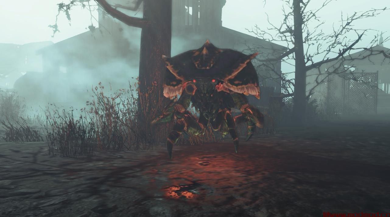 发光的动物发光