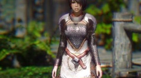 上古卷轴5：天际MOD 湮没-女卫兵套装 V1.0