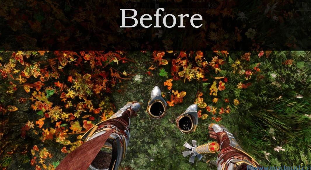 上古卷轴5：重置版MOD 神器的透视补丁的喜悦 - 布列塔尼圣骑士