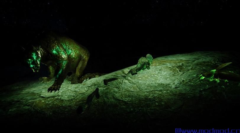 发光的动物发光