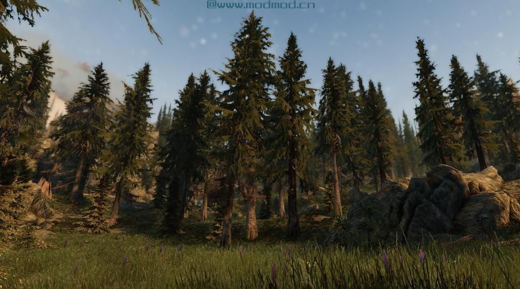 PhotetraX ENB