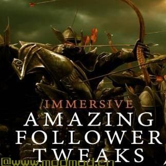 上古卷轴5：天际MOD 身临其境的AFT 9月14日更新3.09 Immersive Amazing Fol