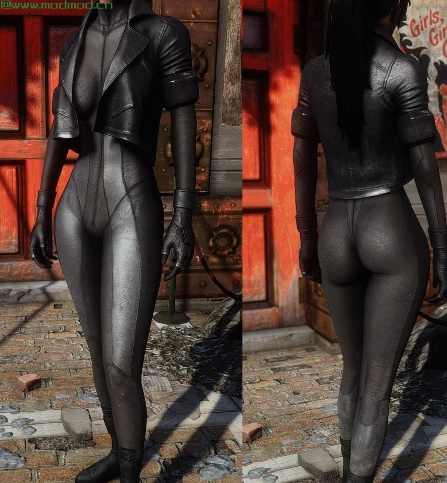 辐射4MOD 前体套装