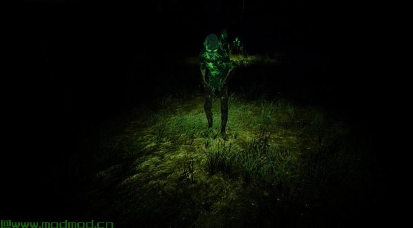 发光的动物发光