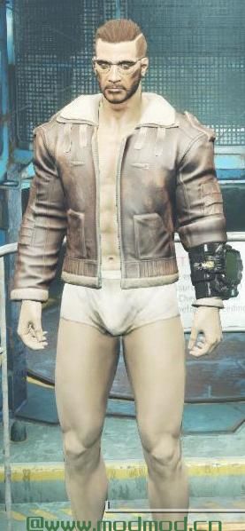 辐射4MOD 联邦的夹克和外套