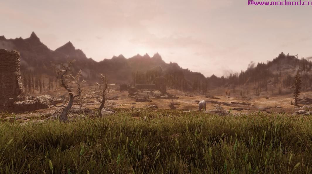 PhotetraX ENB