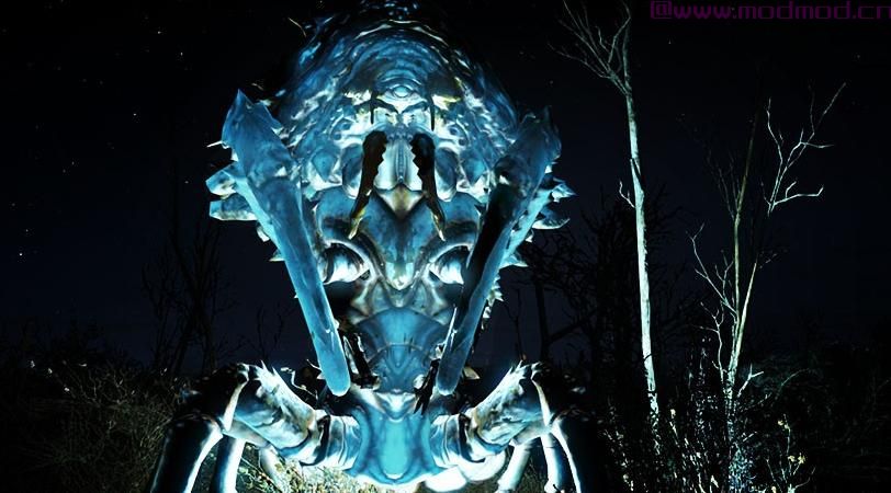 发光的动物发光