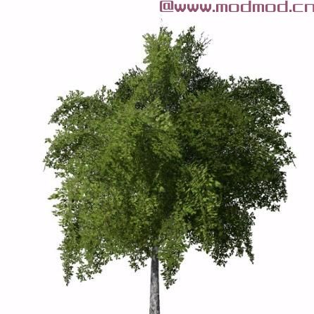 模拟农场19MOD Placeable Trees