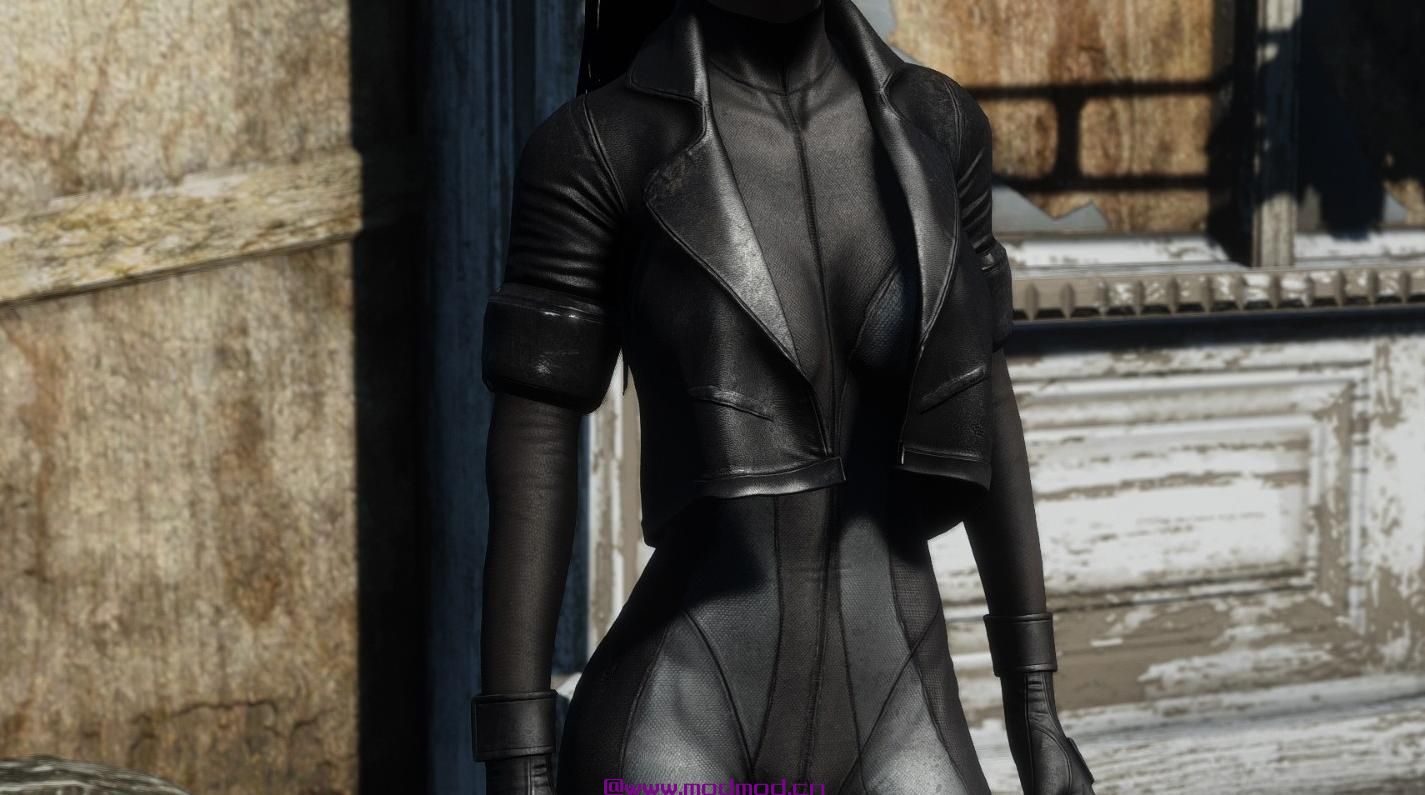 辐射4MOD 前体套装