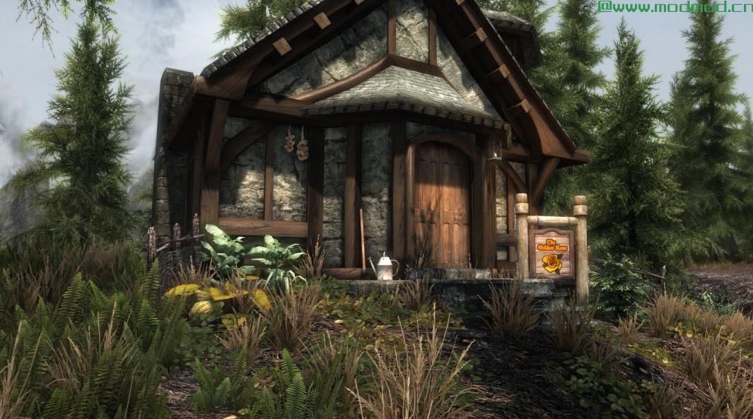 上古卷轴5：重置版MOD 金玫瑰SSE