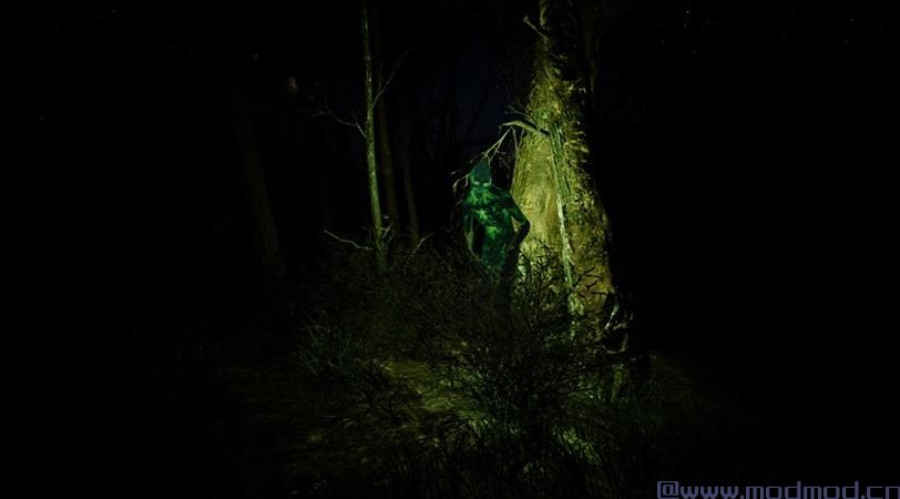 发光的动物发光