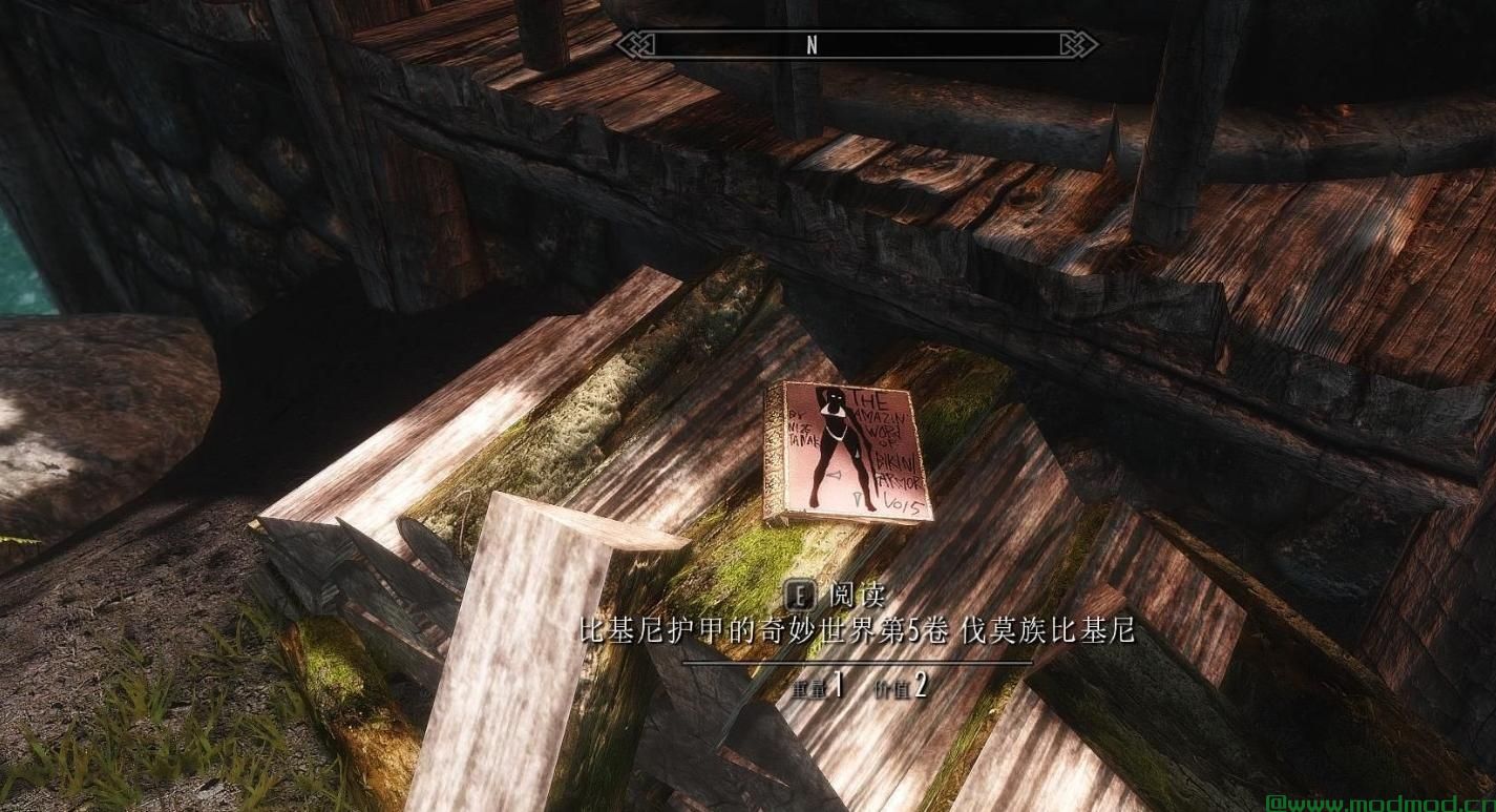 Falmer Bikini Armor    雪精灵比基尼护甲