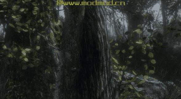 Stalker Lights Sweet Fx和ENB