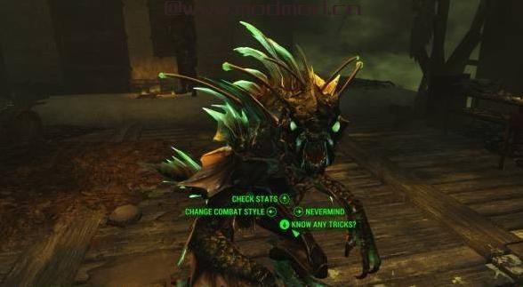 野兽大师 - 生物伴侣大修