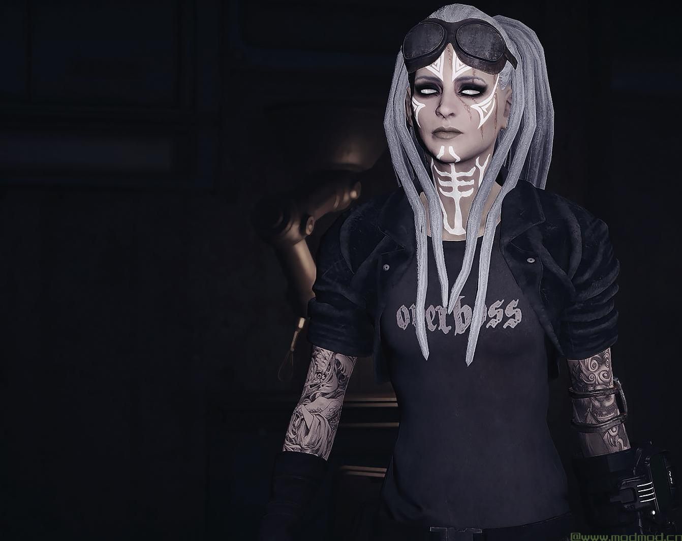 辐射4MOD 埃利亚诺拉的辐射垃圾场