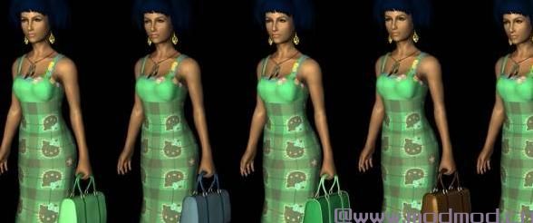 上古卷轴5：天际MOD 手提包系列 V1.4