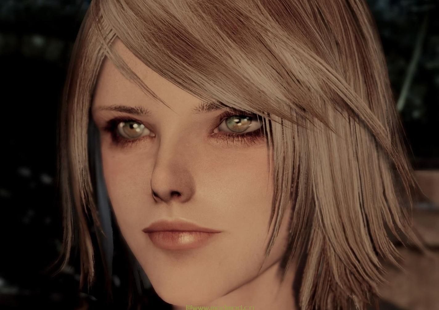 上古卷轴5：天际MOD 盗贼公会+阿斯垂德+天际之子乌弗瑞克 5人美化