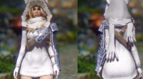上古卷轴5：天际MOD 简约混搭套装 V1.0