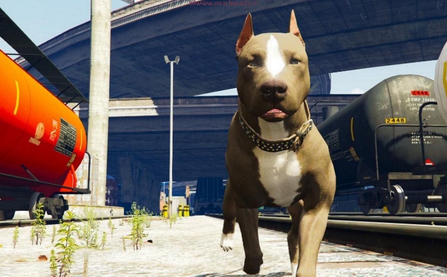 侠盗猎车手5「GTA5」Mod: 斗牛犬（替换剁）