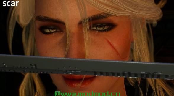 巫师3：狂猎MOD Ciri Face 4k Retextures New Makeup（希里4K级面部纹理）