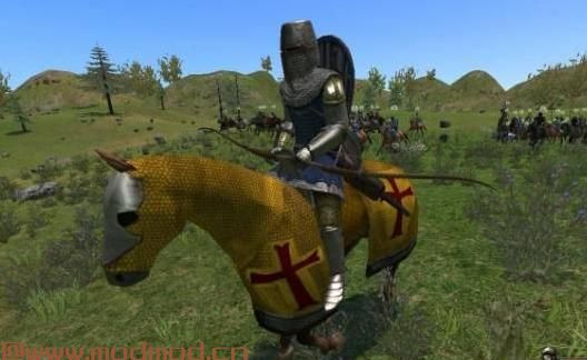 骑马与砍杀MOD Tocans Calradia - a Native Expansion and Mod 整合包