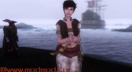 上古卷轴5：天际MOD 红卫兵皇家套装 V1.0