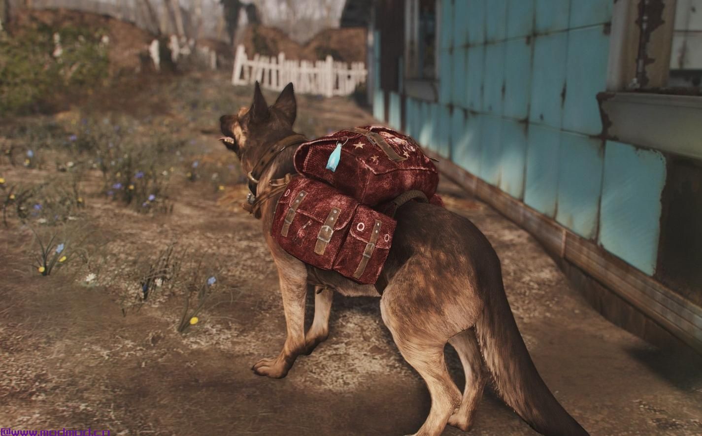 Dogmeat的背包