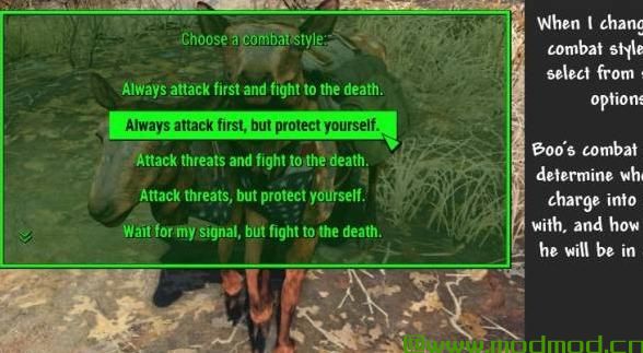 野兽大师 - 生物伴侣大修