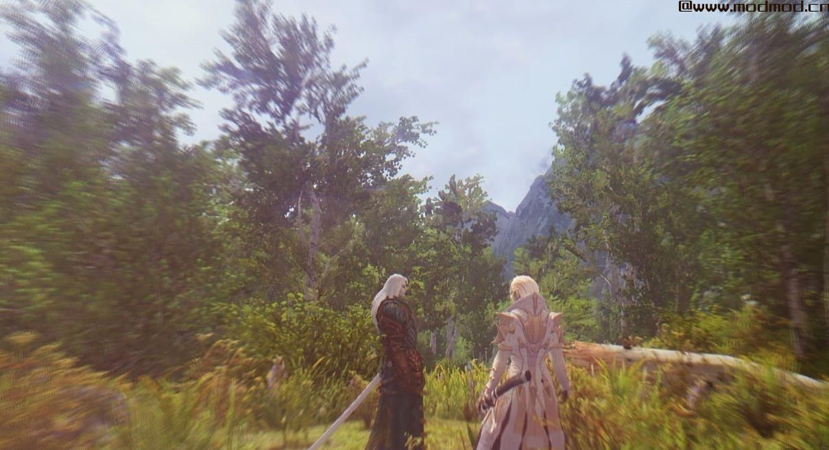 上古卷轴5：天际MOD 暗影之王2阿鲁卡多 A少随从